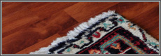 oriental rug cleaning New York City