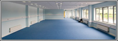 Carpet Cleaning in New York City