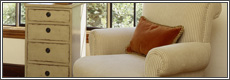 upholstered furniture cleaning treatment New York City